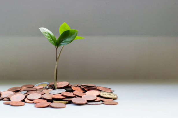 Ventajas de hacer empresa con Lebasi