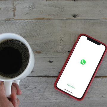WhatsApp Business: Inscríbete a la capacitación gratuita de la ASEM y la Secretaría de Economía WhatsApp Business: Inscríbete a la capacitación gratuita de la ASEM y la Secretaría de Economía