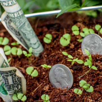 10 negocios que pueden arrancarse con menos de 6000 pesos 10 negocios que pueden arrancarse con menos de 6000 pesos
